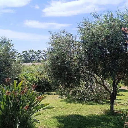 Sa Teria Village - - Daire Tertenìa