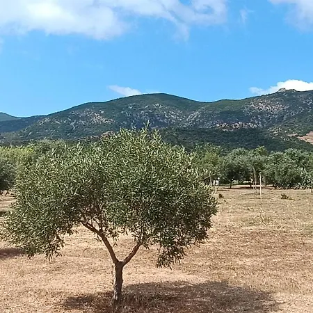 Sa Teria Village - - Apartmán *