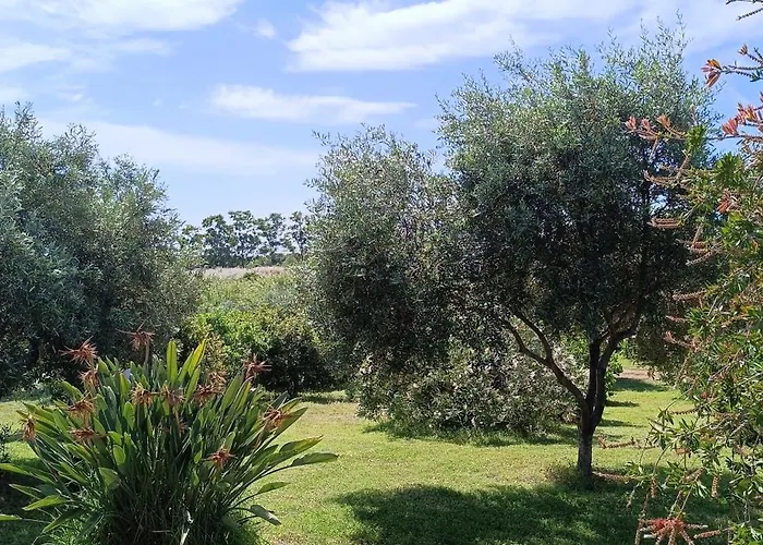 Sa Teria Village Apartment Tertenia