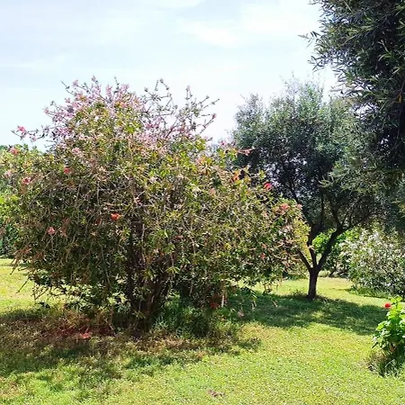 Sa Teria Village - - * Tertenìa
