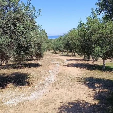 Sa Teria Village Apartment Tertenia