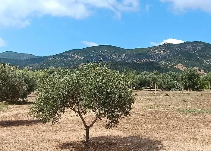 Sa Teria Village - - Apartament *